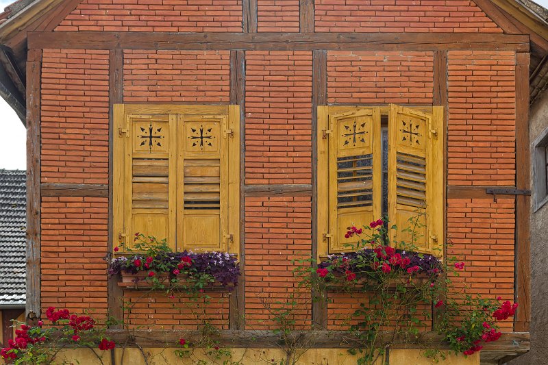 Windows and Roses, Hunawihr, Alsace, France | Alsace and Lorraine, France (IMG_3841.jpg)