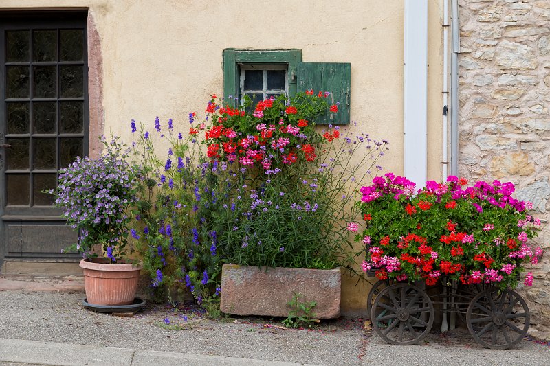 Flower Pots, Hunawihr, Alsace, France | Alsace and Lorraine, France (IMG_3852.jpg)