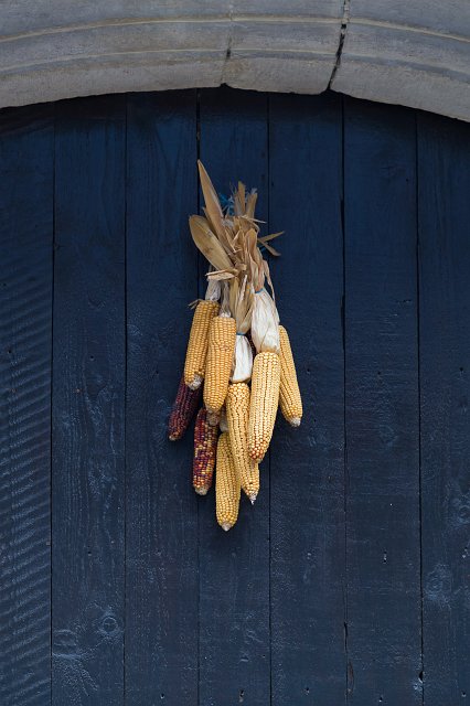 Dried Corn Ears on a Door, Eguisheim, Alsace, France | Eguisheim - Alsace, France (IMG_3984.jpg)