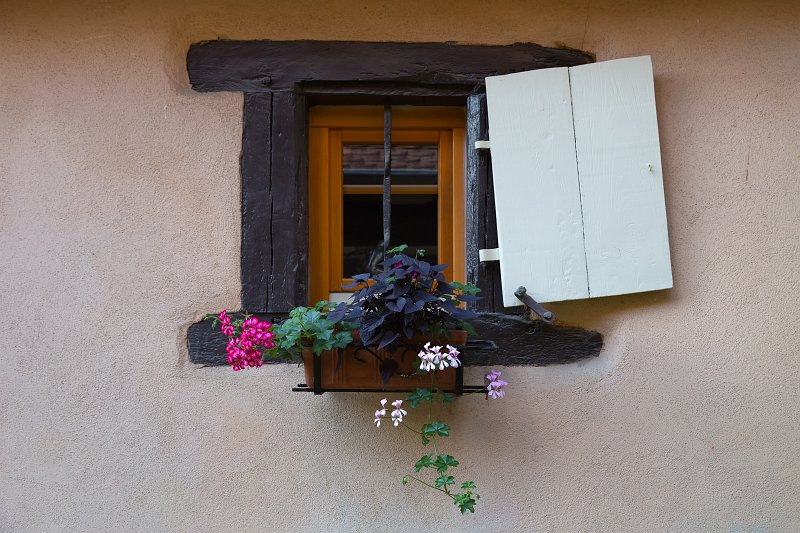 Window, Eguisheim, Alsace, France | Eguisheim - Alsace, France (IMG_3989.jpg)
