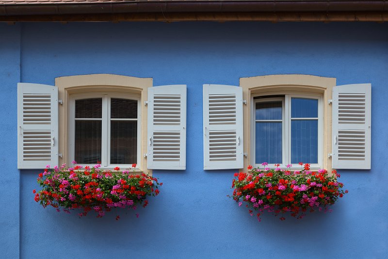 Twin Windows and Geraniums, Eguisheim, Alsace, France | Eguisheim - Alsace, France (IMG_4113.jpg)