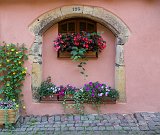 Window and Flower Boxes, Eguisheim, Alsace, France
