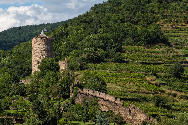 Kaysersberg Castle, Kaysersberg, Alsace, France | Kaysersberg - Alsace, France (IMG_4179.jpg)