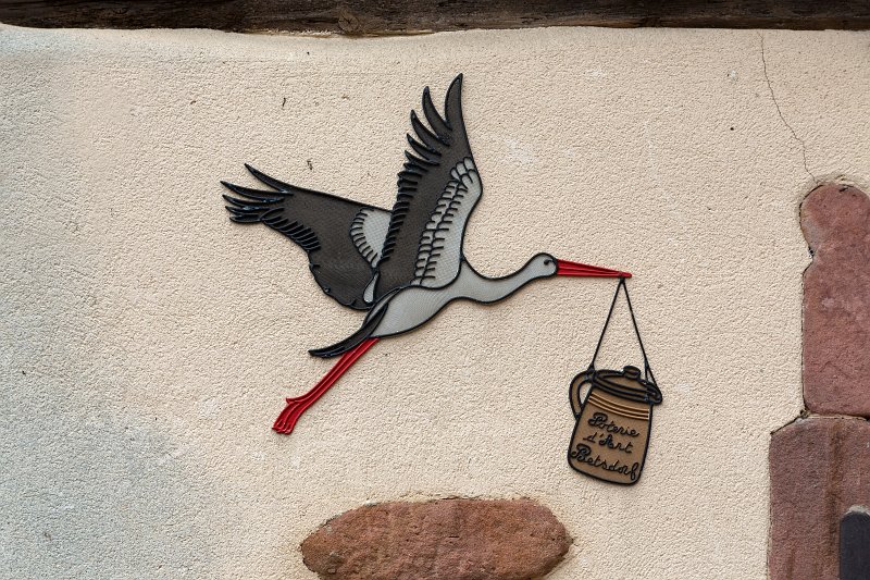 Stork on a Wall, Riquewihr, Alsace, France | Riquewihr - Alsace, France (IMG_3649.jpg)