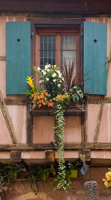 Window, Riquewihr, Alsace, France | Riquewihr - Alsace, France (IMG_3657.jpg)