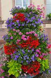 Flower Pots, Riquewihr, Alsace, France
