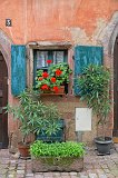 Window and Flowers, Riquewihr, Alsace, France