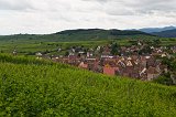 Riquewihr and Vineyards, Alsace, France