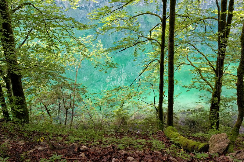 Obersee, Berchtesgaden National Park, Bavaria, Germany | South Bavaria, Germany (IMG_1032.jpg)