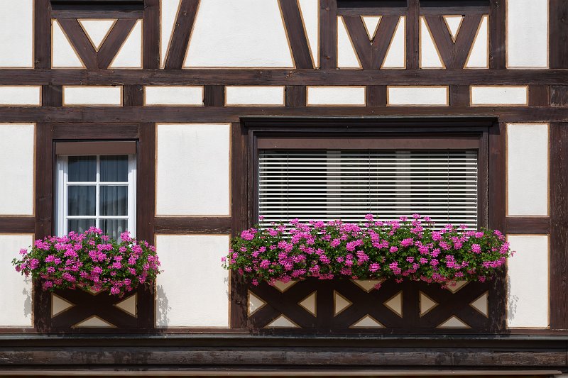 Windows and Pink Geranium Flowers, Gengenbach, Germany | Gengenbach - Baden-Württemberg, Germany (IMG_6423.jpg)