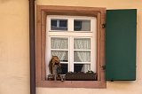 Decorated Window, Gengenbach, Baden-Württemberg, Germany