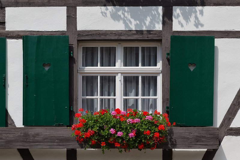 Window and Geranium Flowers, Sasbachwalden, Germany | Sasbachwalden - Baden-Württemberg, Germany (IMG_6580.jpg)