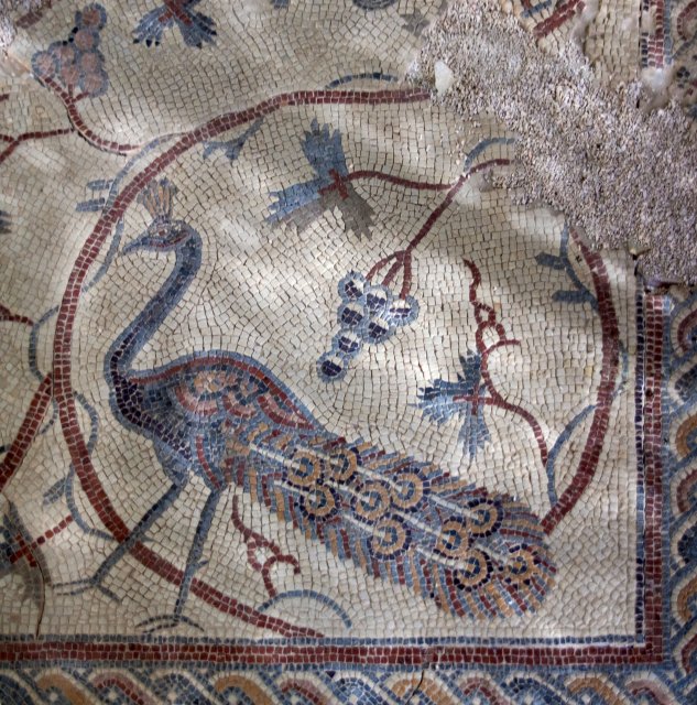 Mount Nebo – Mosaic floor from the church | Jordan - Madaba, Mount Nebo and Umm al Rassas (IMG_7555.jpg)