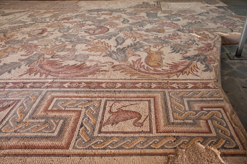 Mount Nebo – Mosaic floor from the church | Jordan - Madaba, Mount Nebo and Umm al Rassas (IMG_7559.jpg)