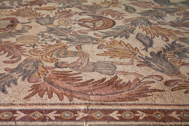 Mount Nebo – Mosaic floor from the church | Jordan - Madaba, Mount Nebo and Umm al Rassas (IMG_7563.jpg)