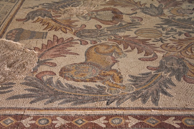 Mount Nebo – Mosaic floor from the church | Jordan - Madaba, Mount Nebo and Umm al Rassas (IMG_7566.jpg)