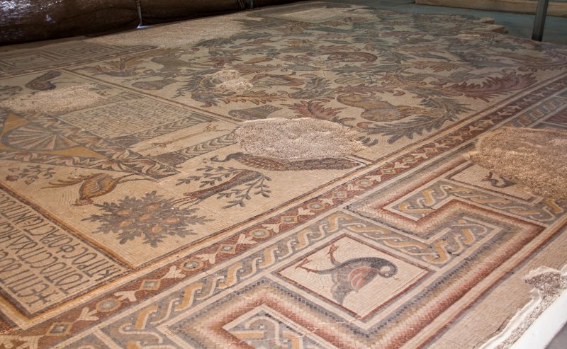 Mount Nebo – Mosaic floor from the church | Jordan - Madaba, Mount Nebo and Umm al Rassas (IMG_7572.jpg)
