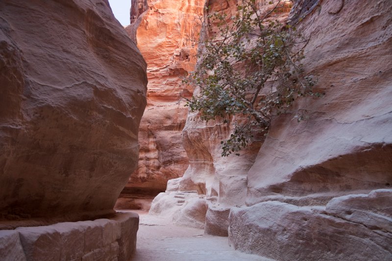 Petra - The Siq | Jordan - Petra (IMG_7792.jpg)