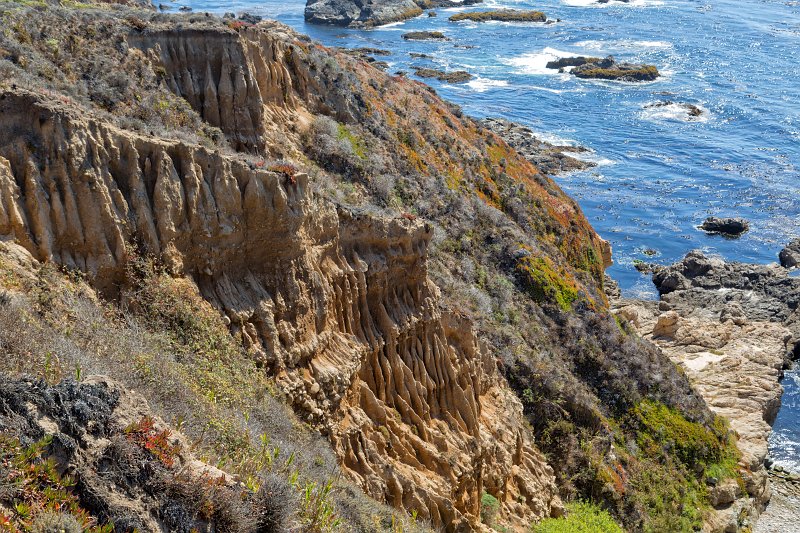 Garrapata State Park, Big Sur Coast, California | Big Sur Coast (Monterey County, California) (IMG_4461.jpg)