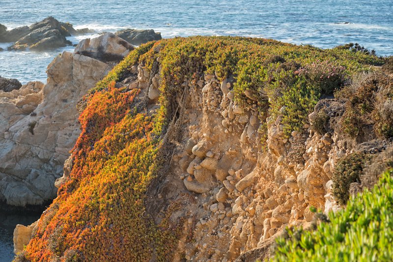 Garrapata State Park, Big Sur Coast, California | Big Sur Coast (Monterey County, California) (IMG_4495.jpg)