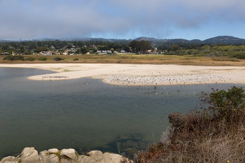 Carmel River Lagoon, California | Carmel - Monterey County, California (IMG_4979.jpg)