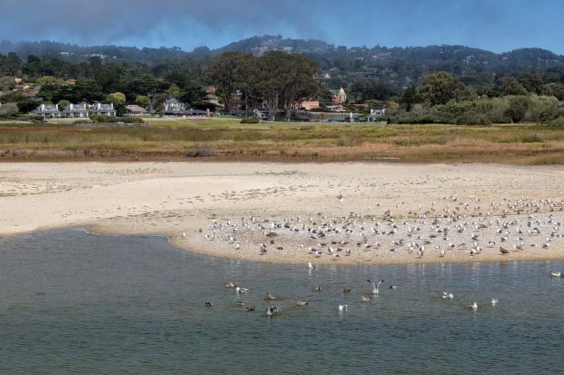 Carmel River Lagoon, California | Carmel - Monterey County, California (IMG_4992.jpg)