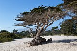 Carmel Beach, Carmel-by-the-Sea, California