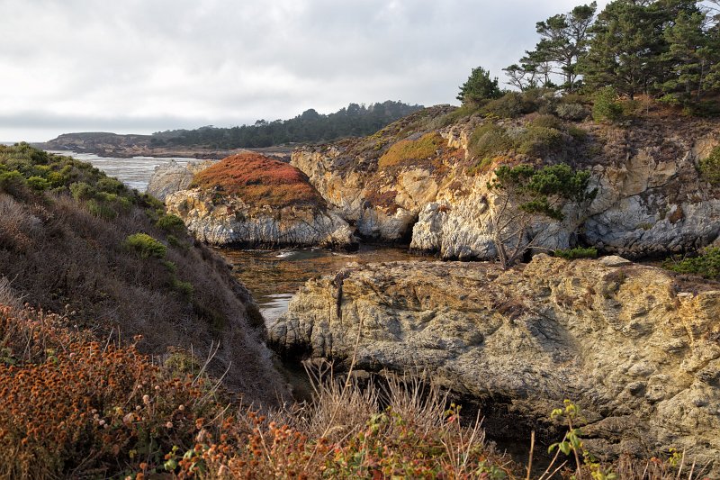 China Cove, Point Lobos, California | Point Lobos Natural Reserve, California (IMG_3836.jpg)