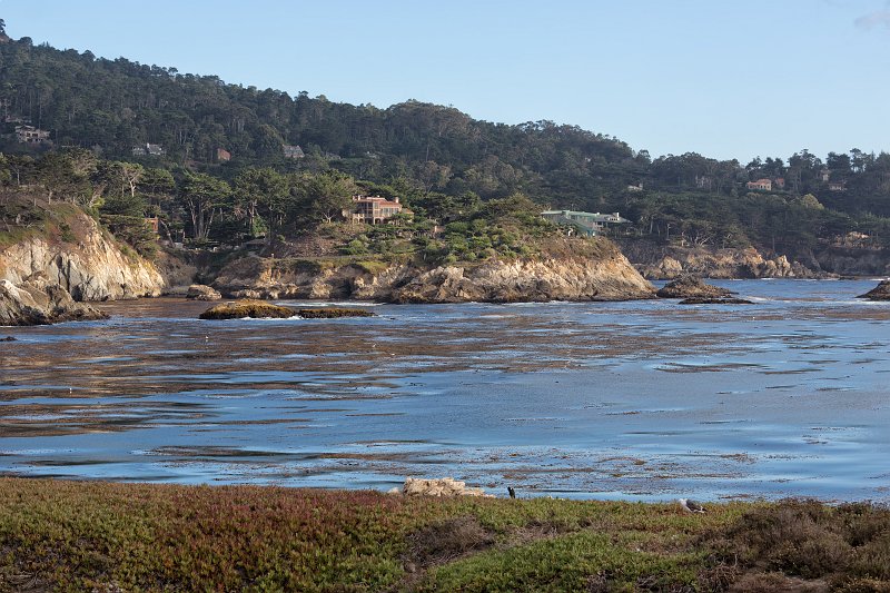 Residentials near Gibson Beach, Point Lobos, California | Point Lobos Natural Reserve, California (IMG_3894.jpg)