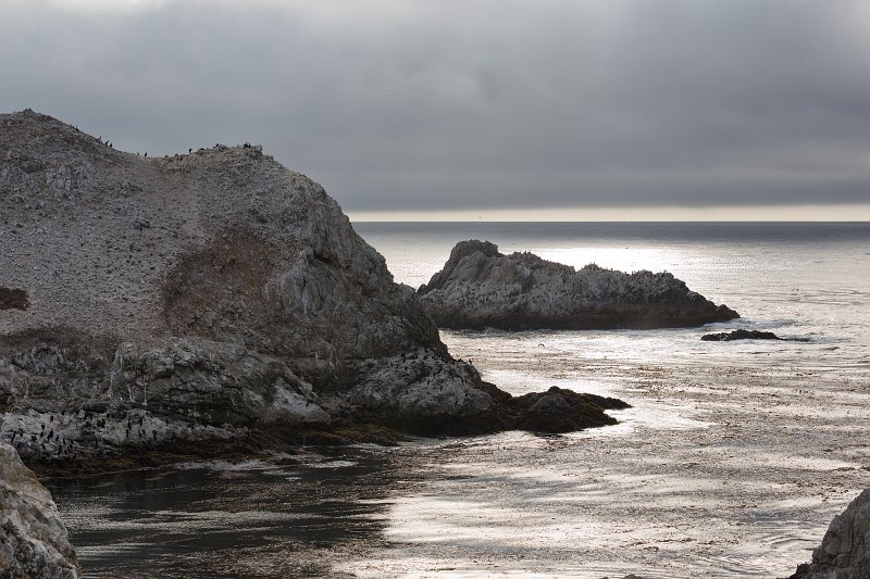 Bird Island, Point Lobos, California | Point Lobos Natural Reserve, California (IMG_3909.jpg)