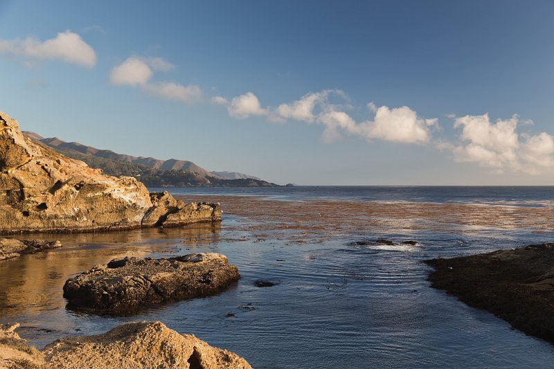 Sea Lion Cove, Point Lobos, California | Point Lobos Natural Reserve, California (IMG_4164.jpg)