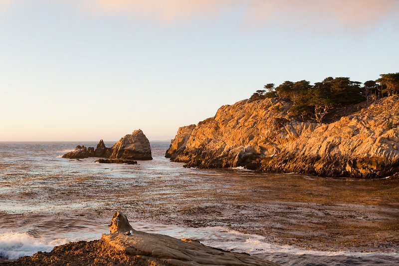South Point Rocks and Headland Cove, Point Lobos, California | Point Lobos Natural Reserve, California (IMG_4192.jpg)