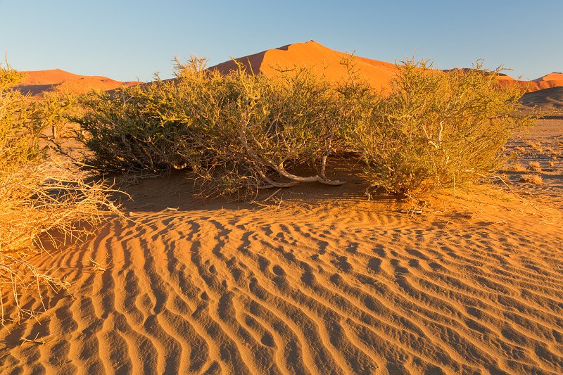 Patterns in the Sand, Sossusvlei, Namib-Naukluft National Park, Namibia | Sossusvlei - Namibia (IMG_3280.jpg)