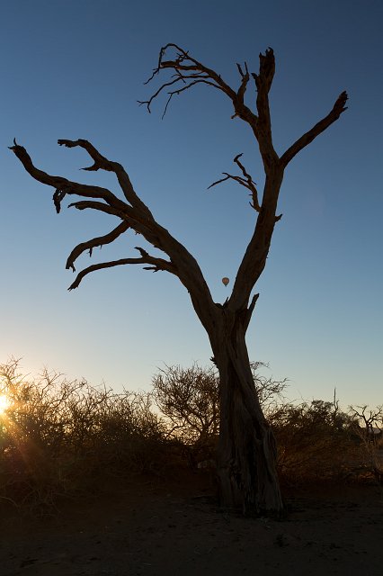 Silhouette of a Tree and Hot-Air Balloon, Sossusvlei, Namibia | Sossusvlei - Namibia (IMG_3290.jpg)
