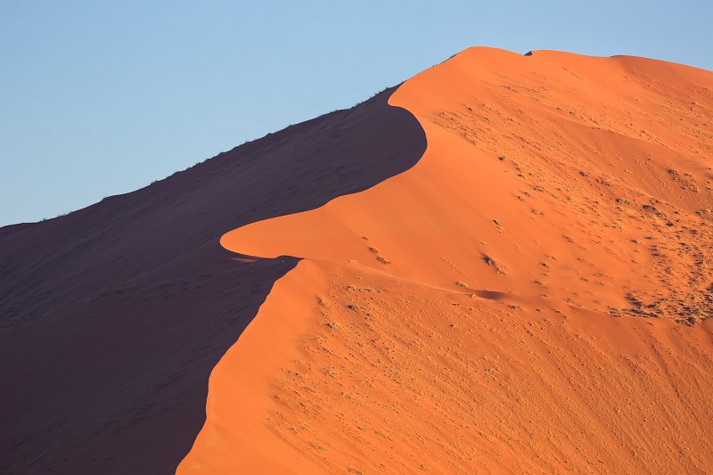 Close-Up on a Dune, Sossusvlei, Namib-Naukluft National Park, Namibia | Sossusvlei - Namibia (IMG_3315.jpg)