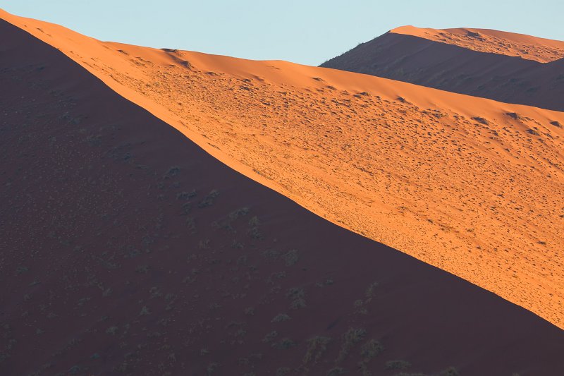 Dune with Vegetation on the Dark Side, Sossusvlei, Namib-Naukluft National Park, Namibia | Sossusvlei - Namibia (IMG_3316.jpg)