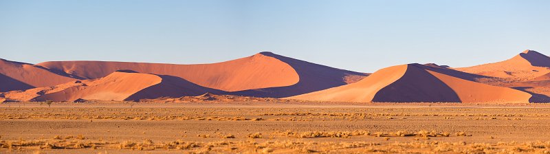 Panoramic View of Dunes, Sossusvlei, Namib-Naukluft National Park, Namibia | Sossusvlei - Namibia (IMG_3328_29_30_31_32_2.jpg)