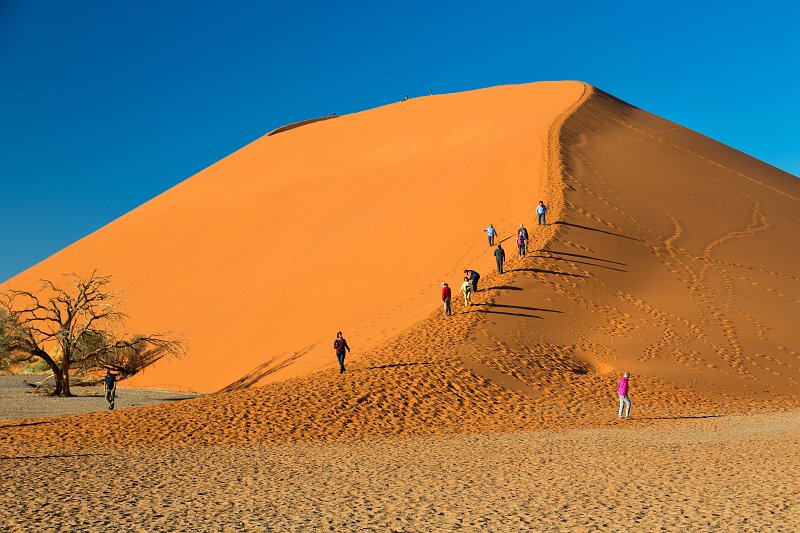 Dune 45, Sossusvlei, Namib-Naukluft National Park, Namibia | Sossusvlei - Namibia (IMG_3384.jpg)