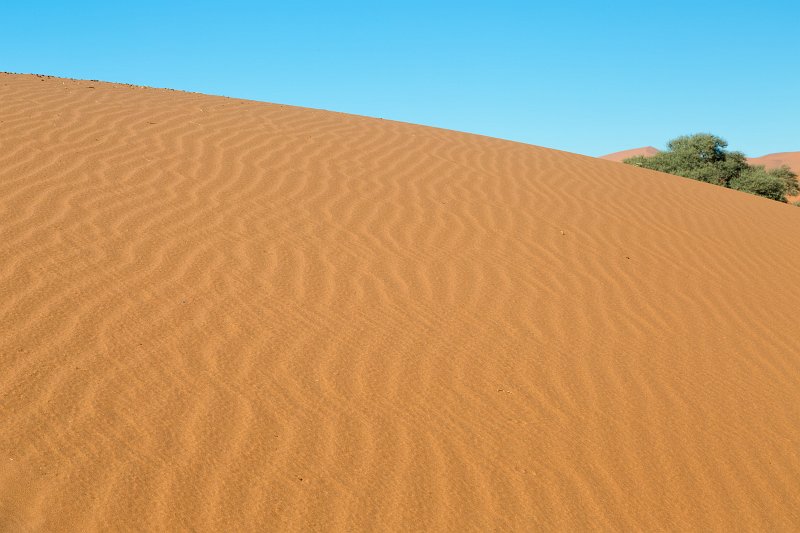 Close-Up on a Dune, Sossusvlei, Namib-Naukluft National Park, Namibia | Sossusvlei - Namibia (IMG_3408.jpg)