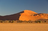 Head in Profile, The Road to Sossusvlei, Namib-Naukluft National Park, Namibia