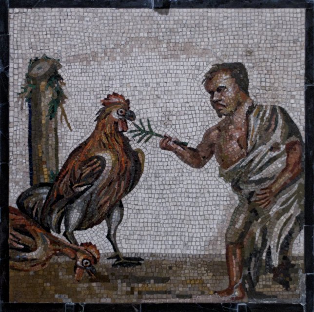 Mosaic of Dwarf and Roosters | Naples National Archaeological Museum (IMG_1628.jpg)