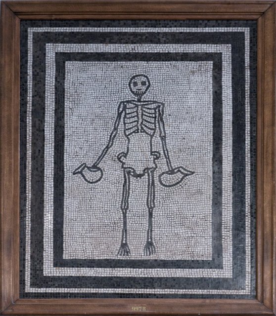 Skeleton | Naples National Archaeological Museum (IMG_1649.jpg)