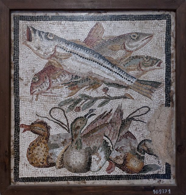 Mosaic with Fish and Ducks in the house of the Grand Duke of Tuscany, Pompeii | Naples National Archaeological Museum (IMG_1652.jpg)