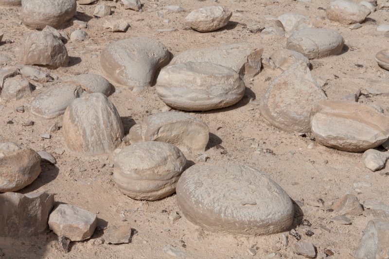 Potato shaped rocks, Mount Zin nature reserve | The Negev - a desert and semidesert region of southern Israel (IMG_4788.jpg)