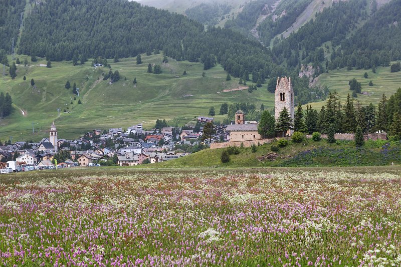 Celerina (Schlarigna), Graubünden, Switzerland | Switzerland (IMG_4443.jpg)
