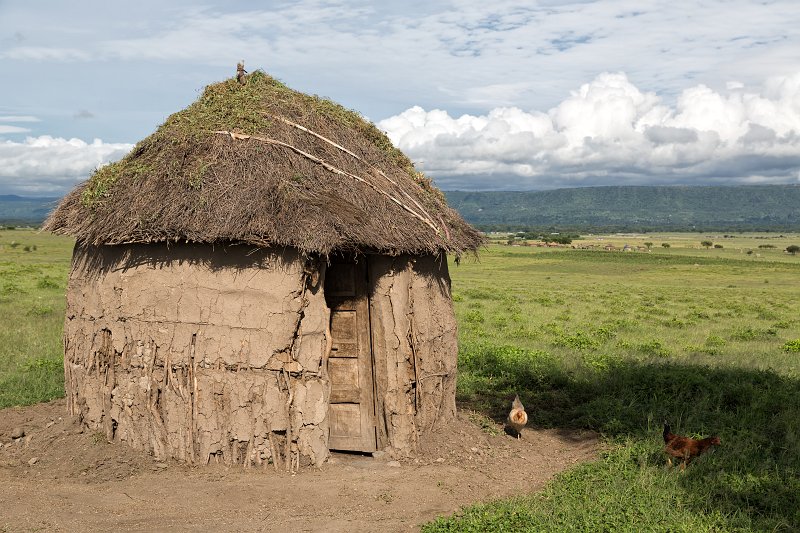 Maasai Traditional Home and Chicken, Manyara Maasai Village, Tanzania | Manyara Massai Village, Tanzania (IMG_8382.jpg)