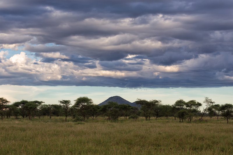 Central Serengeti, Tanzania | Serengeti National Park, Tanzania (IMG_1430.jpg)