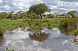 Pond and Reflections, Central Serengeti, Tanzania