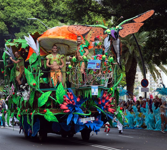 Carnival 2015 of Santa Cruz de Tenerife (IMG_1430.jpg)