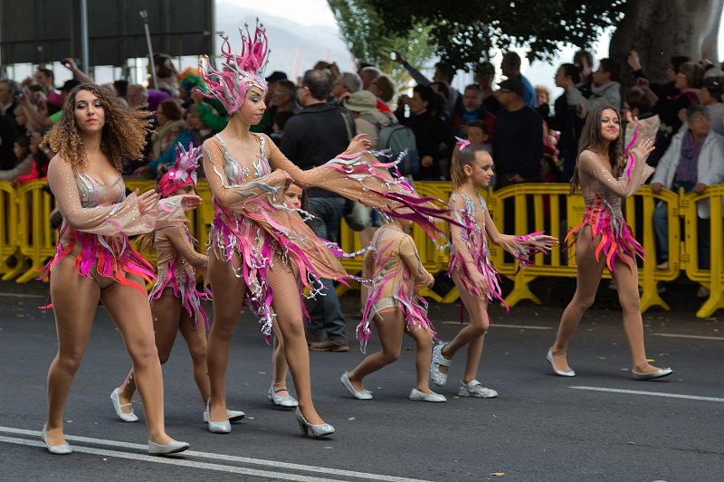 Carnival 2015 of Santa Cruz de Tenerife (IMG_1456.jpg)